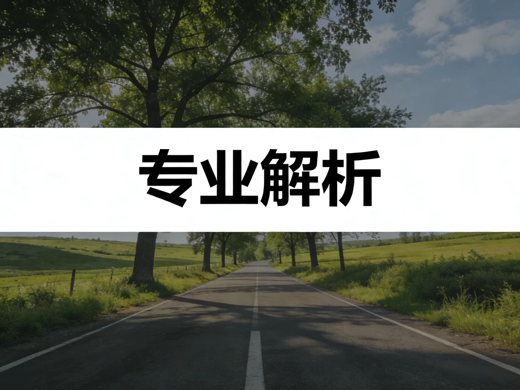 所有专业全解析