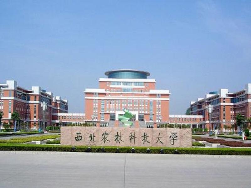西北农林科技大学（985）